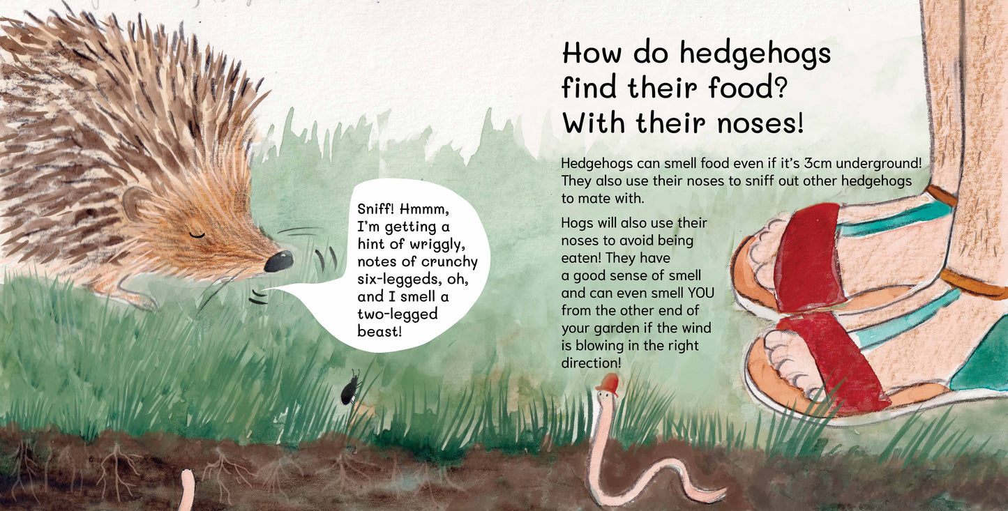 SIGNED PRE-ORDER Let's Explore Hedgehogs: An urban wildlife explorer book PAPERBACK