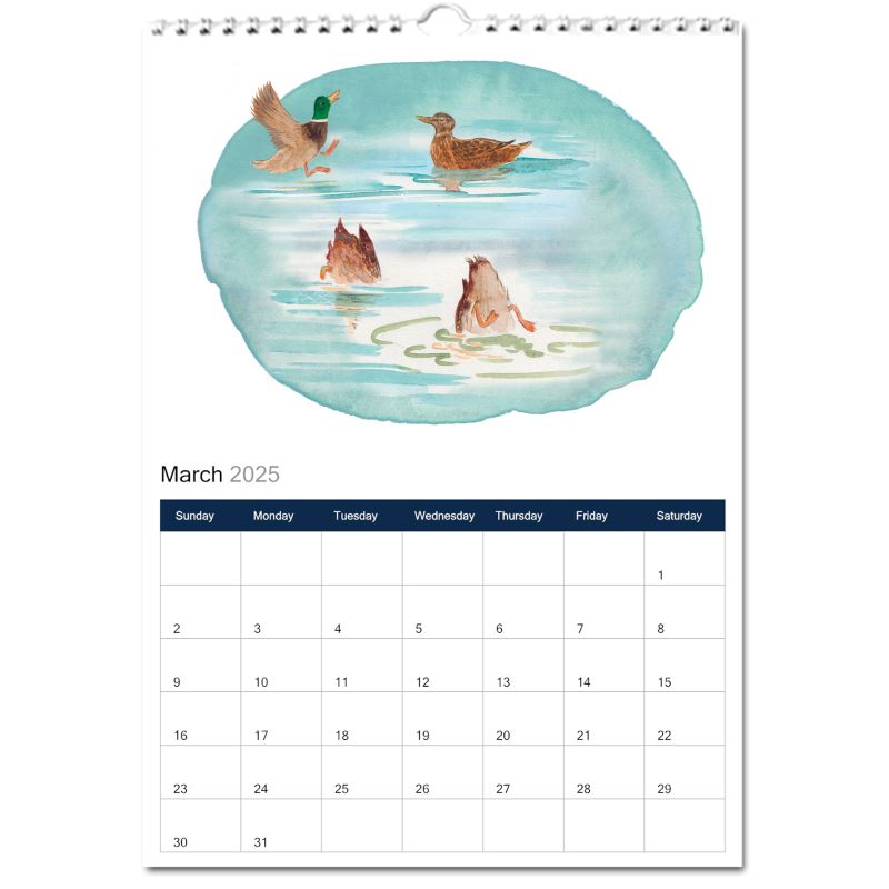 Urban Wildlife illustration calendar