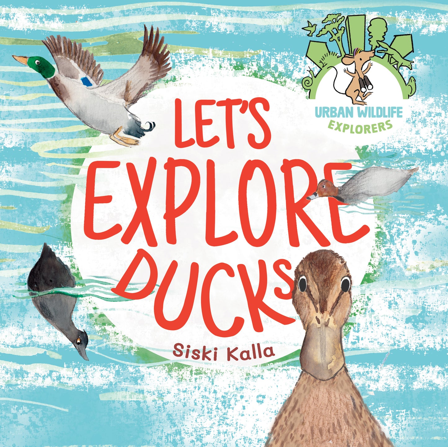 Let's Explore Ducks: An urban wildlife explorer book HARDBACK