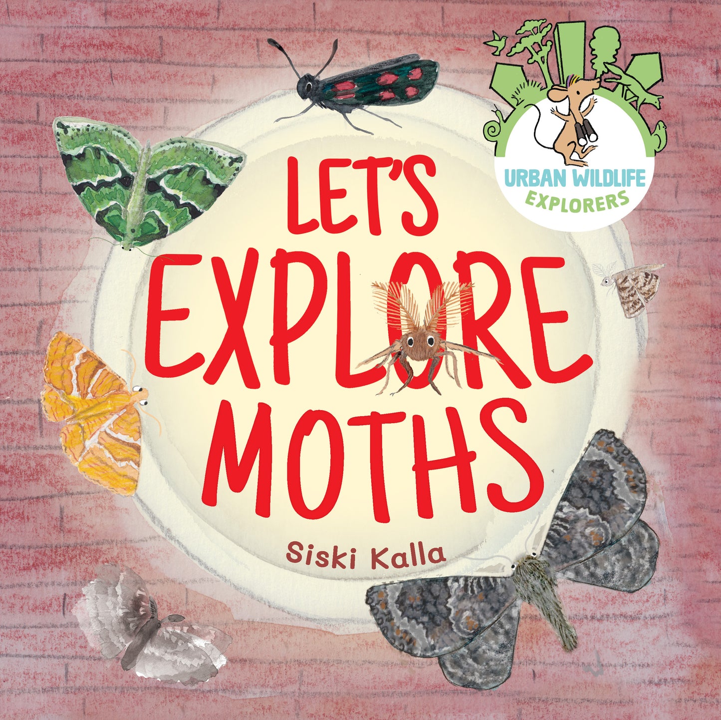 Let's Explore Moths: An urban wildlife explorer book HARDBACK