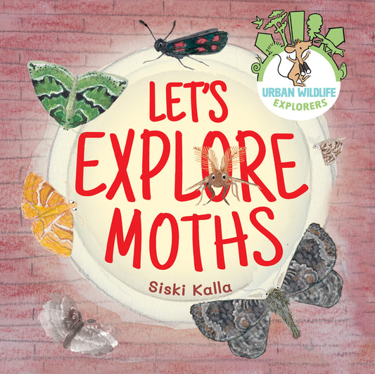 Let's Explore Moths: An urban wildlife explorer book HARDBACK