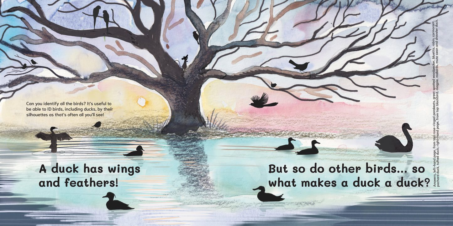 Let's Explore Ducks: An urban wildlife explorer book HARDBACK