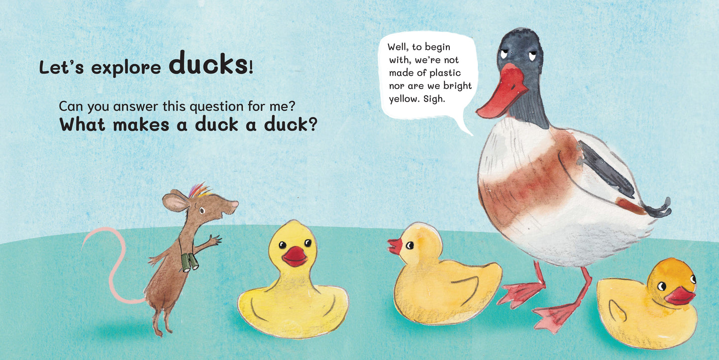 Let's Explore Ducks: An urban wildlife explorer book HARDBACK