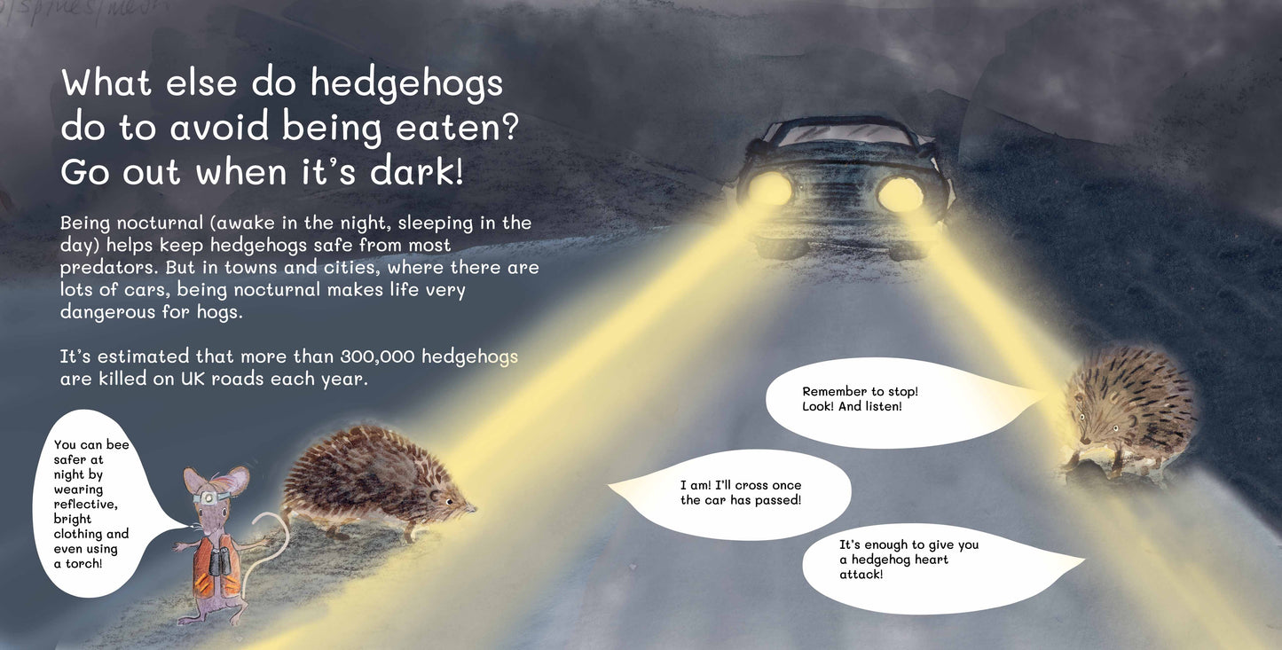 SIGNED PRE-ORDER Let's Explore Hedgehogs: An urban wildlife explorer book PAPERBACK