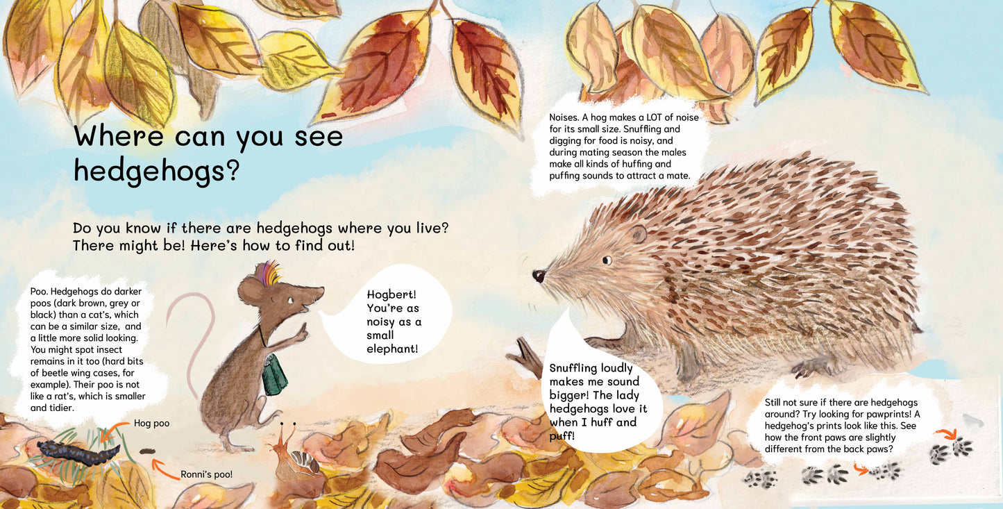 SIGNED PRE-ORDER Let's Explore Hedgehogs: An urban wildlife explorer book PAPERBACK