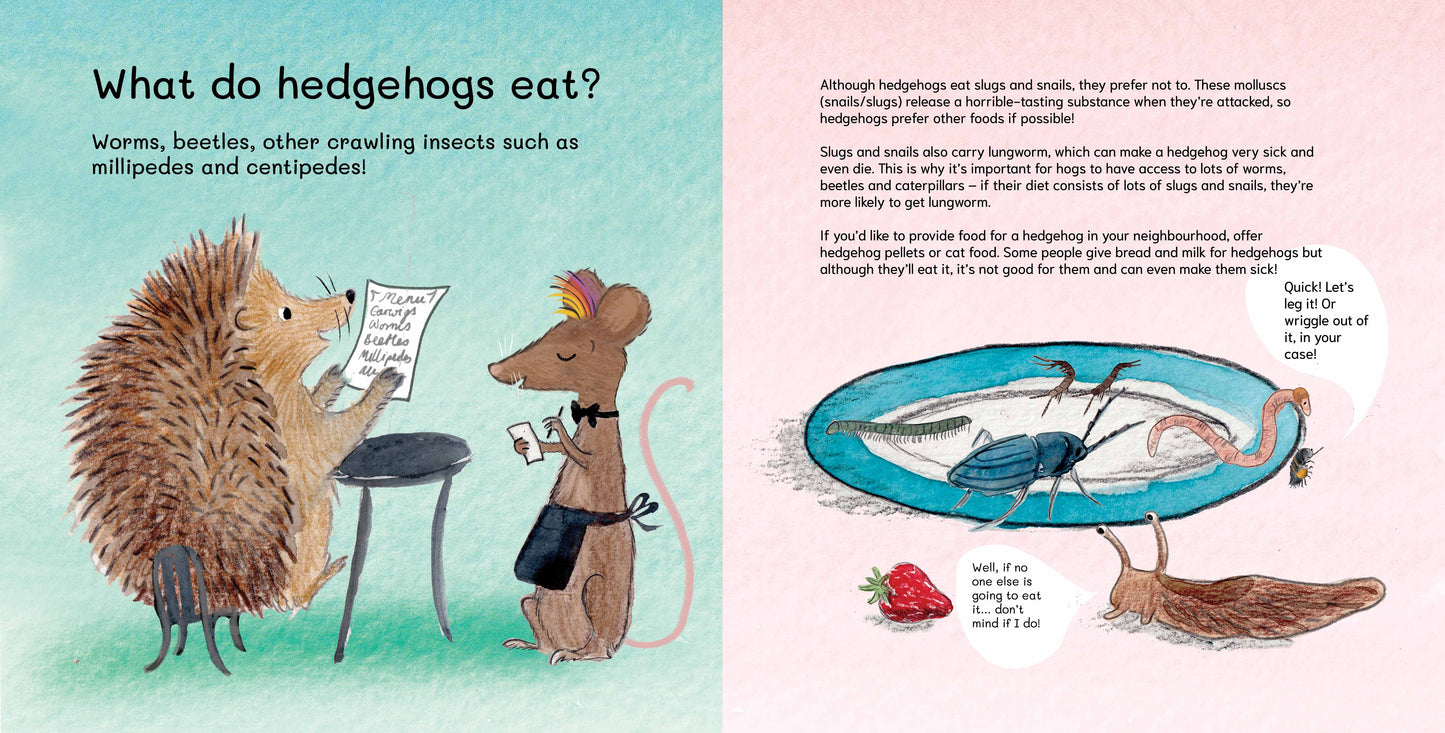 SIGNED PRE-ORDER Let's Explore Hedgehogs: An urban wildlife explorer book PAPERBACK