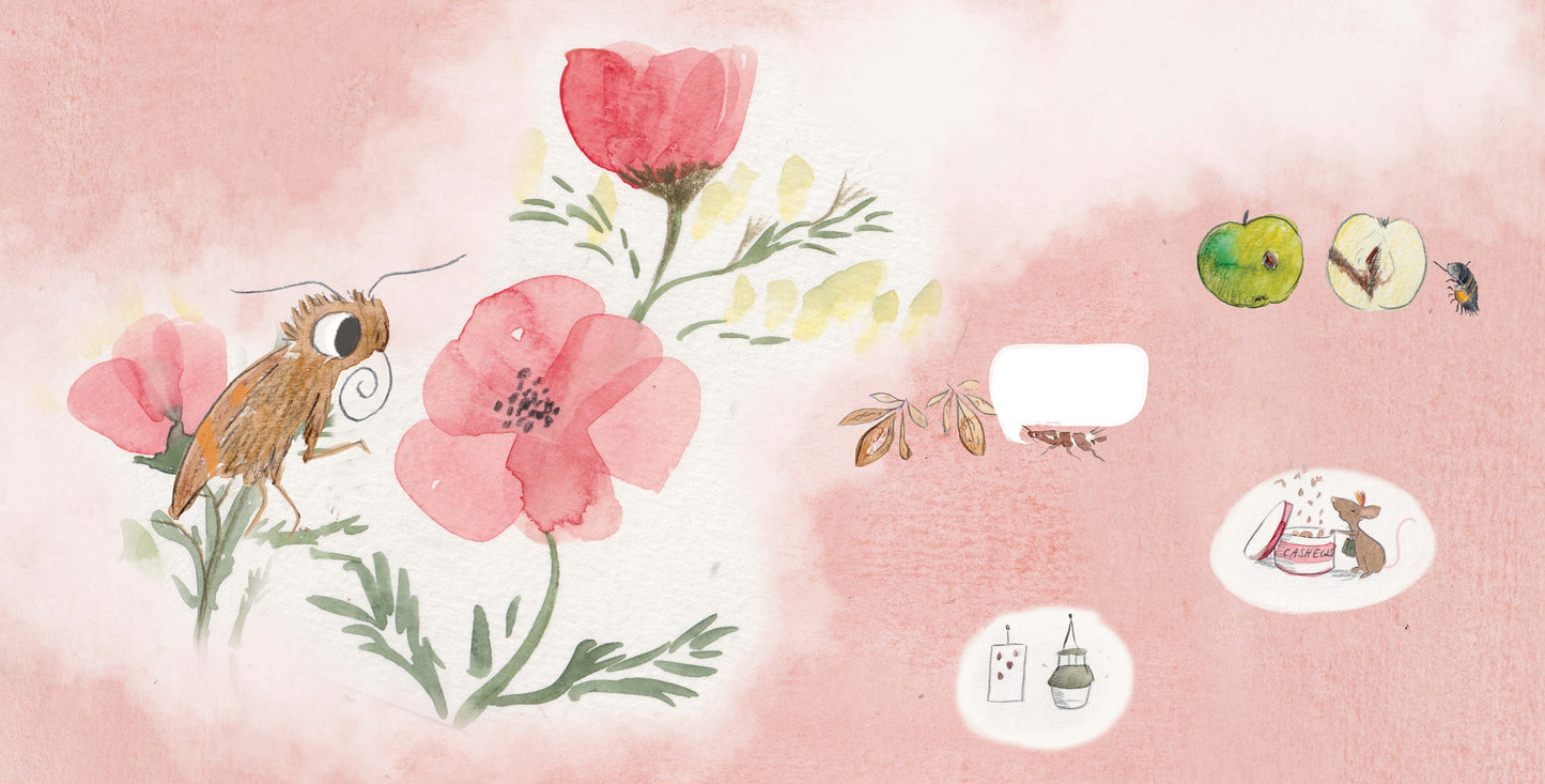 Let's Explore Moths: An urban wildlife explorer book HARDBACK