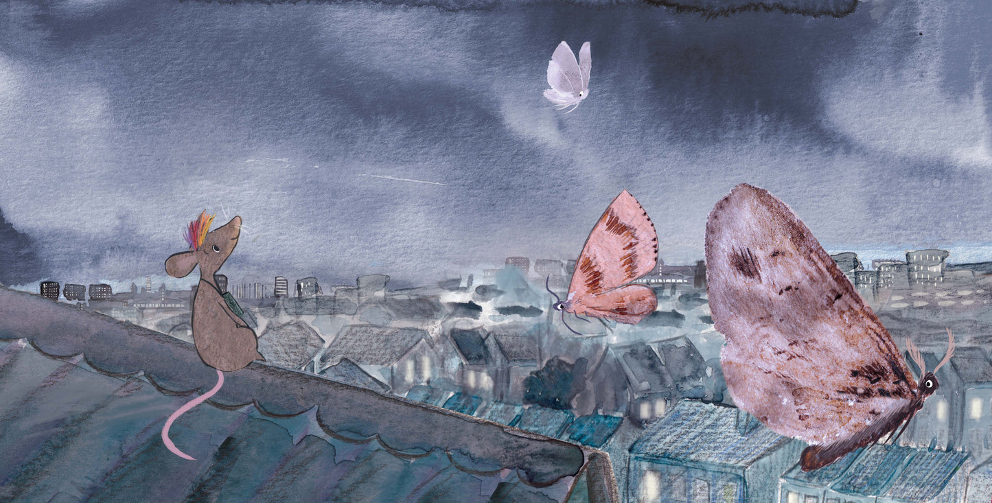 Let's Explore Moths: An urban wildlife explorer book HARDBACK