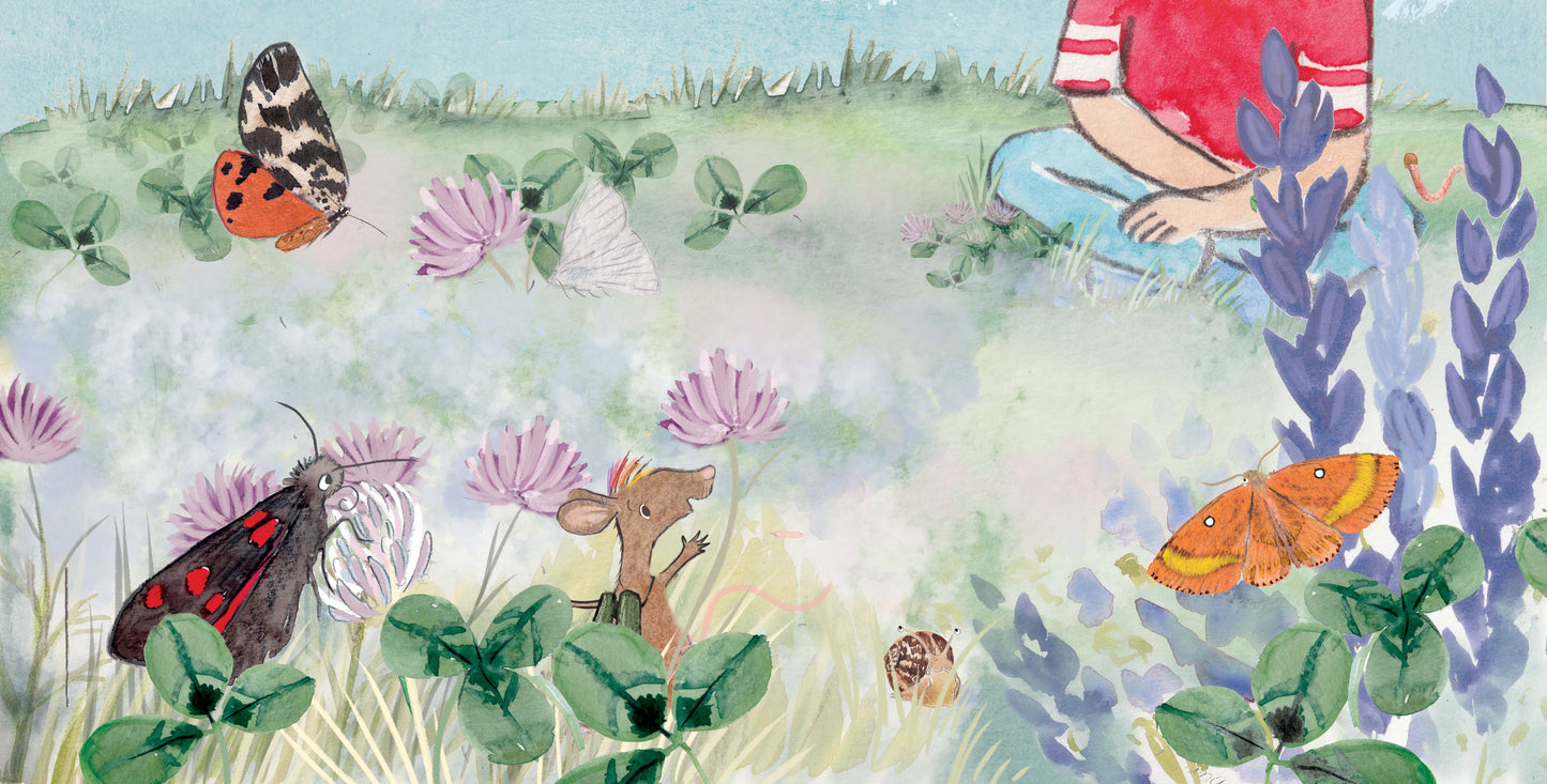 Let's Explore Moths: An urban wildlife explorer book HARDBACK