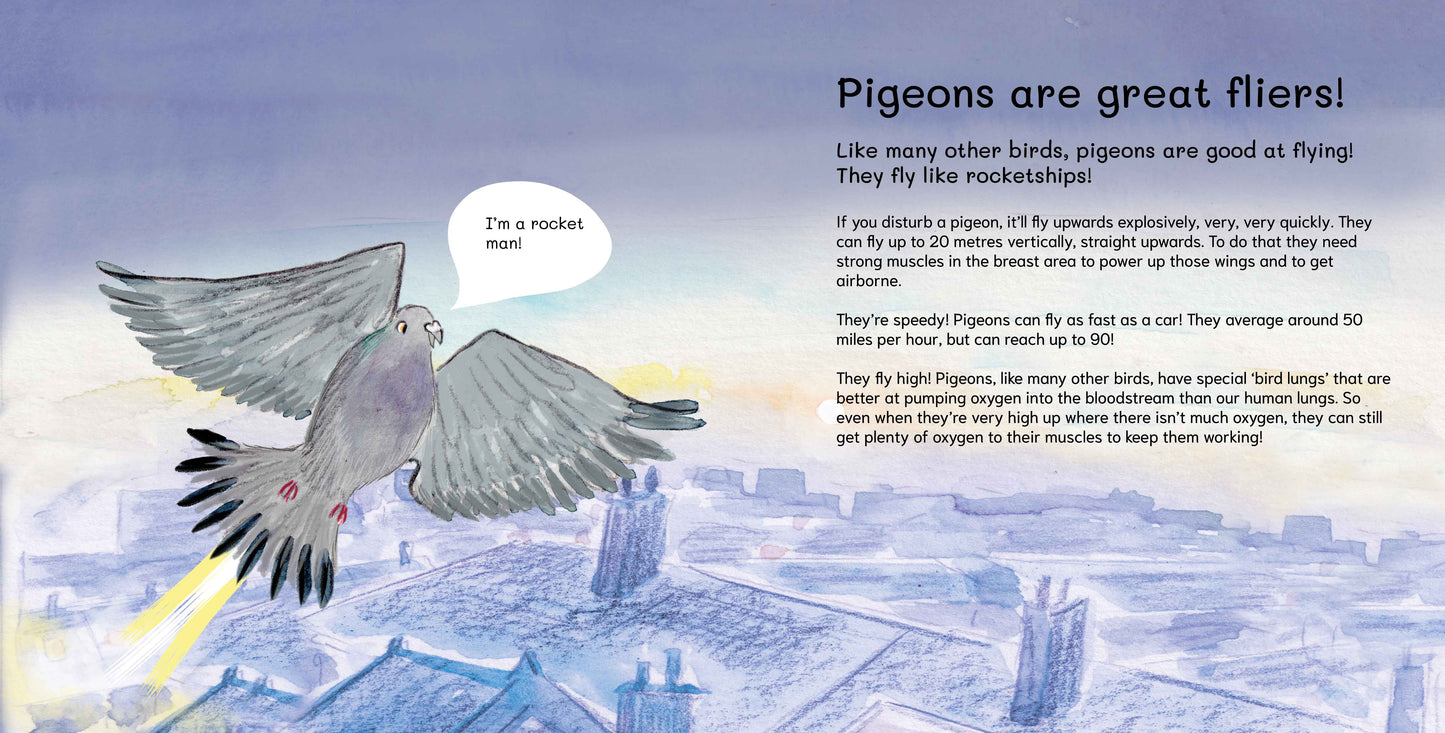 SIGNED PRE-ORDER Let's Explore Pigeons: An urban wildlife explorer book PAPERBACK