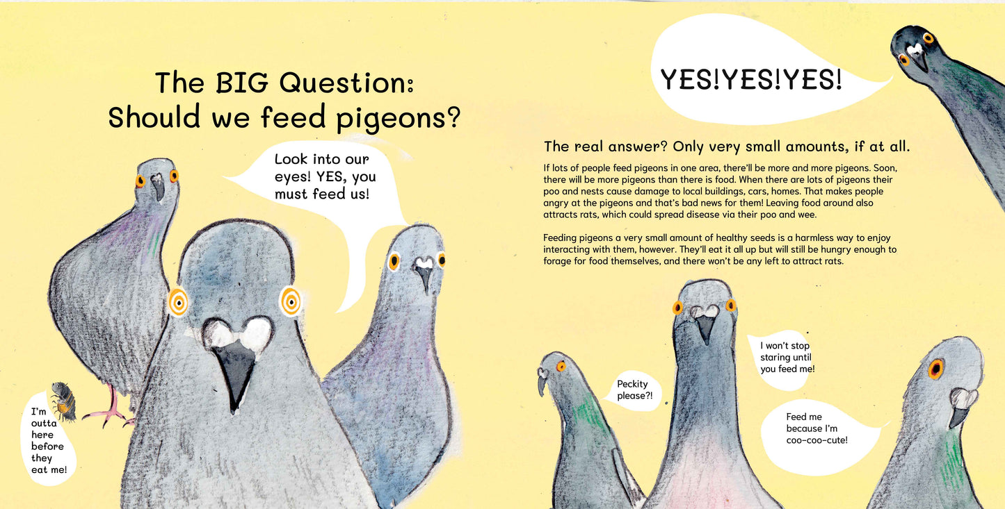 SIGNED PRE-ORDER Let's Explore Pigeons: An urban wildlife explorer book PAPERBACK